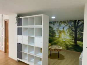 Palacio Azcárate apartamento