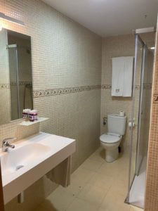 Palacio Azcárate baño