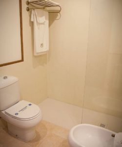 Palacio Azcárate baño